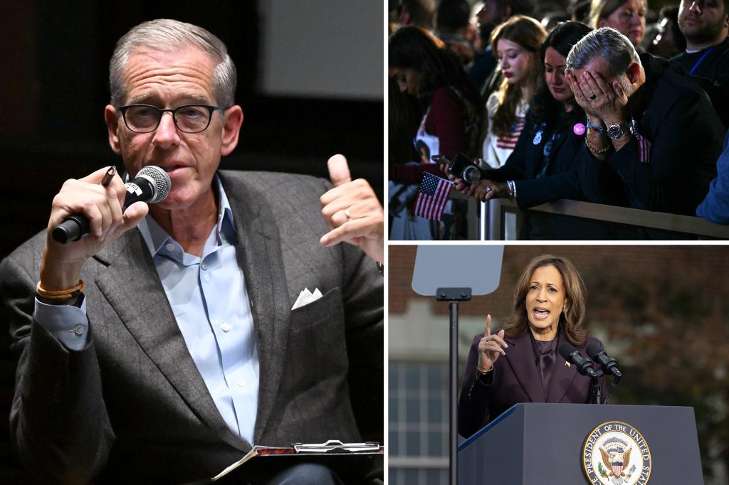 Former NBC anchor Brian Williams says the Democratic Party needs to be 'rebuilt' after 'insulting' voters in the 2024 election cycle.